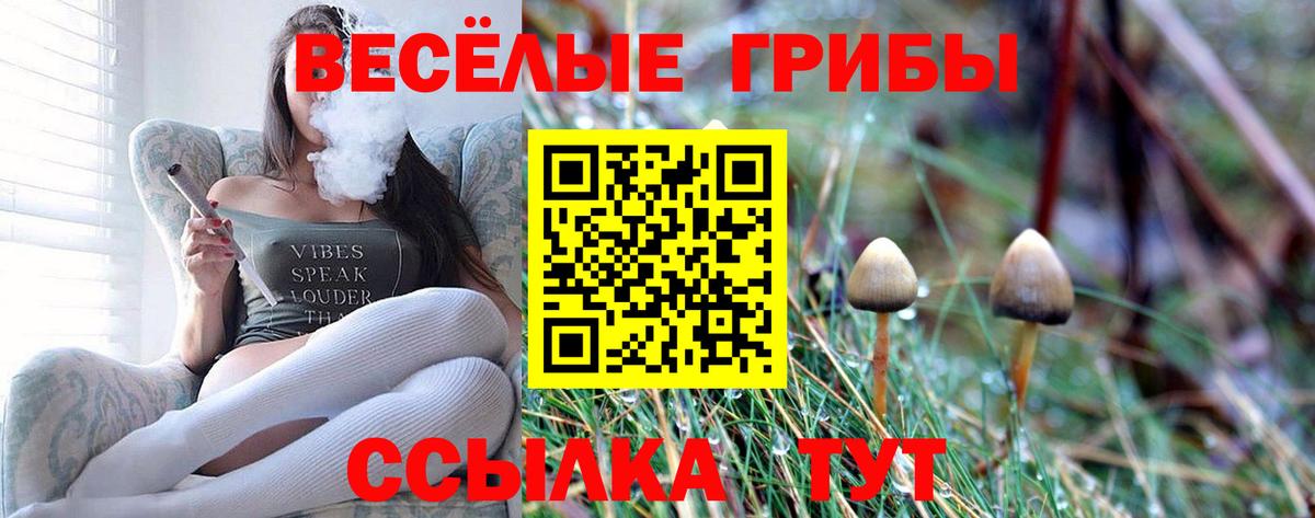 Псилоцибиновые грибы Magic Shrooms  Вход с VPN  Галлюциногенные грибы прущие грибы  Кирово-Чепецк 